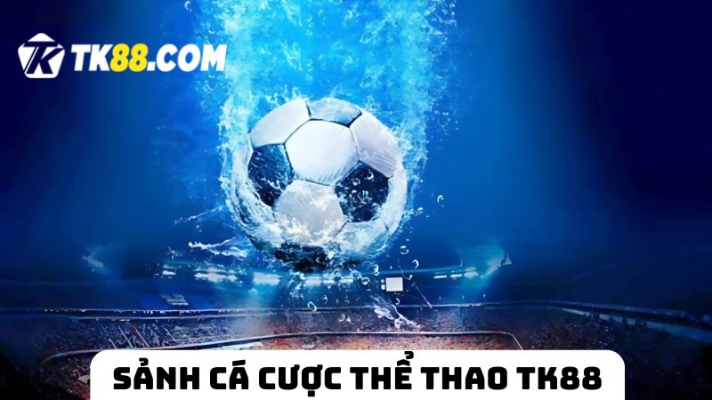 sảnh cược thể thao TK88